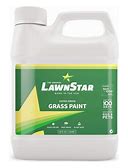 Grass Paint Concentrate (500-1,000 Sq Ft) - For Dormant, Patchy Or Faded Lawn - Lush Green Turf Colorant (32 Fl Oz)