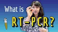What is RT-PCR? (Real-Time PCR & Reverse Transcription PCR)