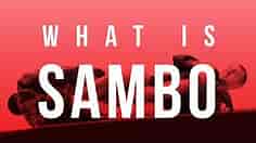 What is Sambo? \ sambo academy