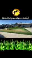 Get that beautiful green lawn in 1 day. Call Bakersfield Lawn Painting today! 661-381-0061. BakersfieldLawnPainting.com #bakersfieldlawnpainting #bakersfield #lawnpainting #lawncareservice #paintings #lawncare #lawnfawn #lawncarecommunity #lawnlife #hedges #artistsoninstagram #yardwork #lawncarelife #mow #mowingthelawn #lawnmowing #turfpainting